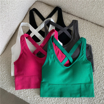 Imported High Quality Foam Bra - Free Size